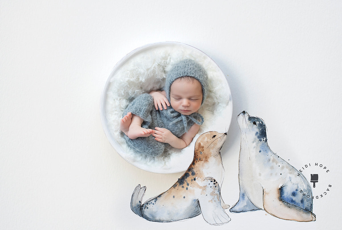 Digital Backdrop | Baby Seals