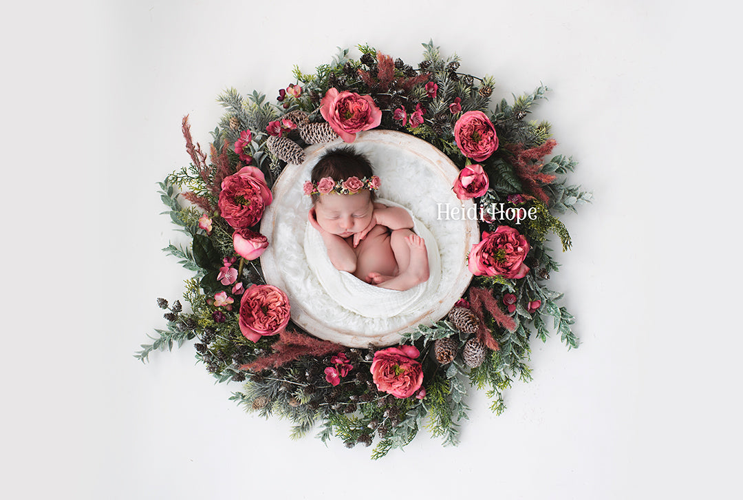 Digital Backdrop | Holiday Rose
