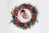 Digital Backdrop | Holiday Rose
