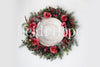 Digital Backdrop | Holiday Rose